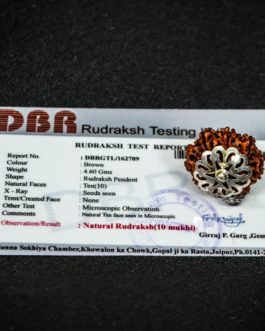 10 Face Rudraksha With Silver Cap