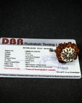 11 Face Rudraksha With Silver Cap