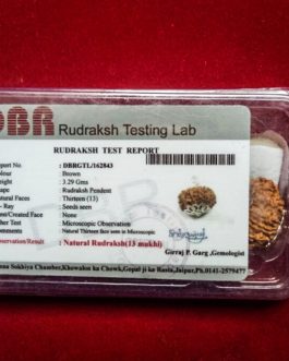 13 Face Rudraksha With Silver cap