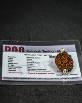 2 Face Rudraksha with silver cap