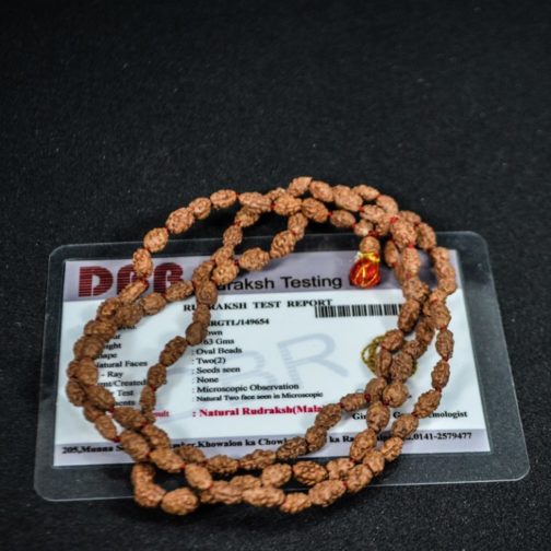 2 mukhi mala