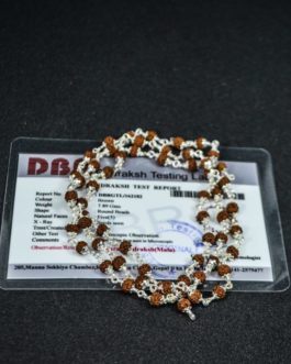 5 Mukhi Rudraksha Mala With Silver Cap