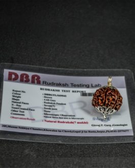 7 Face Rudraksha With Silver Cap