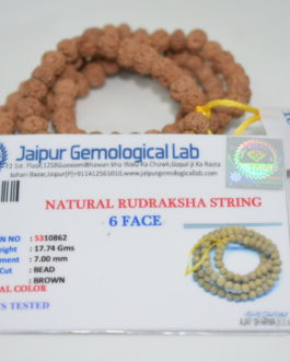 6 Face Rudraksha Mala